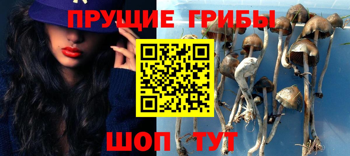 Партизанск  цены наркотик  Вход с VPN  Псилоцибиновые грибы MAGIC MUSHROOMS 